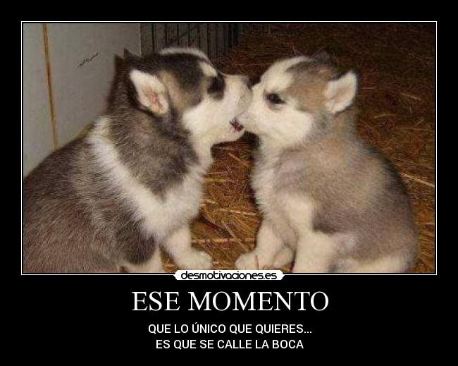 ESE MOMENTO - QUE LO ÚNICO QUE QUIERES...
ES QUE SE CALLE LA BOCA