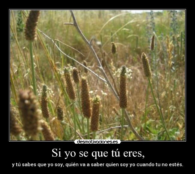 Si yo se que tú eres, - y tú sabes que yo soy, quién va a saber quien soy yo cuando tu no estés.