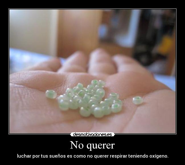 No querer - luchar por tus sueños es como no querer respirar teniendo oxígeno.
