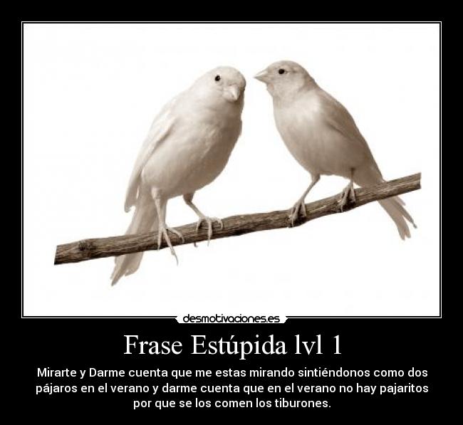 Frase Estúpida lvl 1 - Mirarte y Darme cuenta que me estas mirando sintiéndonos como dos
pájaros en el verano y darme cuenta que en el verano no hay pajaritos
por que se los comen los tiburones.