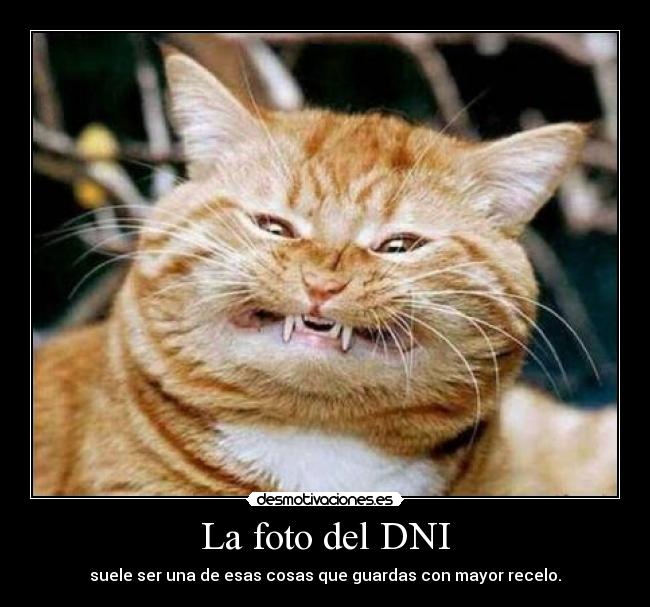 La foto del DNI - 