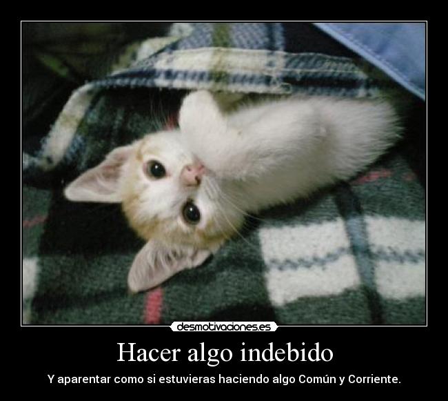 Hacer algo indebido - Y aparentar como si estuvieras haciendo algo Común y Corriente.