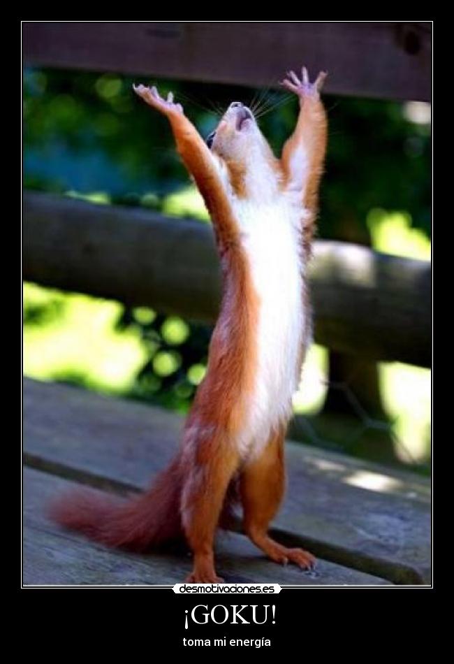 ¡GOKU! - toma mi energía
