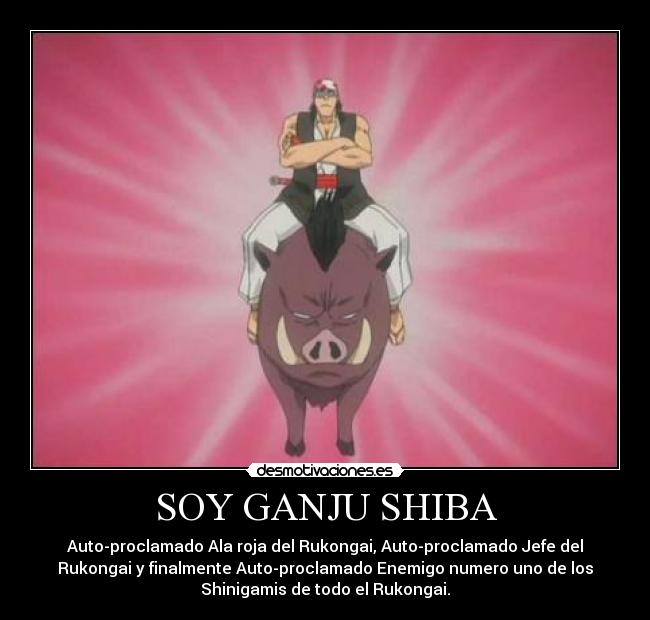 SOY GANJU SHIBA - Auto-proclamado Ala roja del Rukongai, Auto-proclamado Jefe del
Rukongai y finalmente Auto-proclamado Enemigo numero uno de los
Shinigamis de todo el Rukongai.