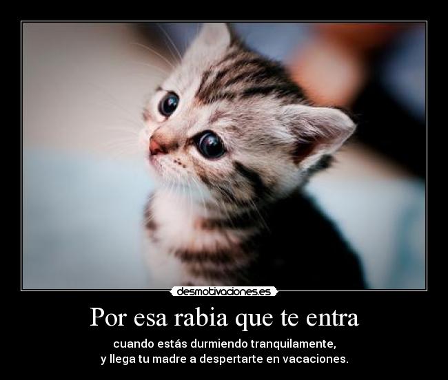 Por esa rabia que te entra -