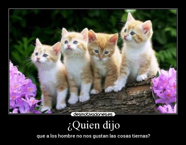 ¿Quien dijo - 