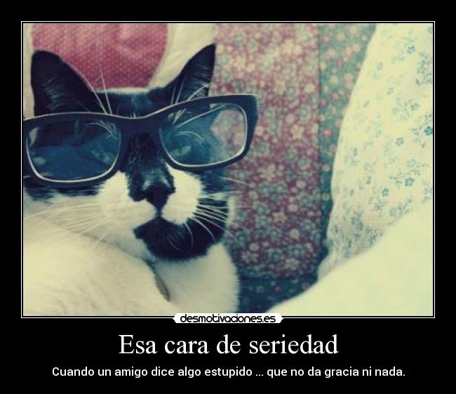 Esa cara de seriedad - Cuando un amigo dice algo estupido ... que no da gracia ni nada.