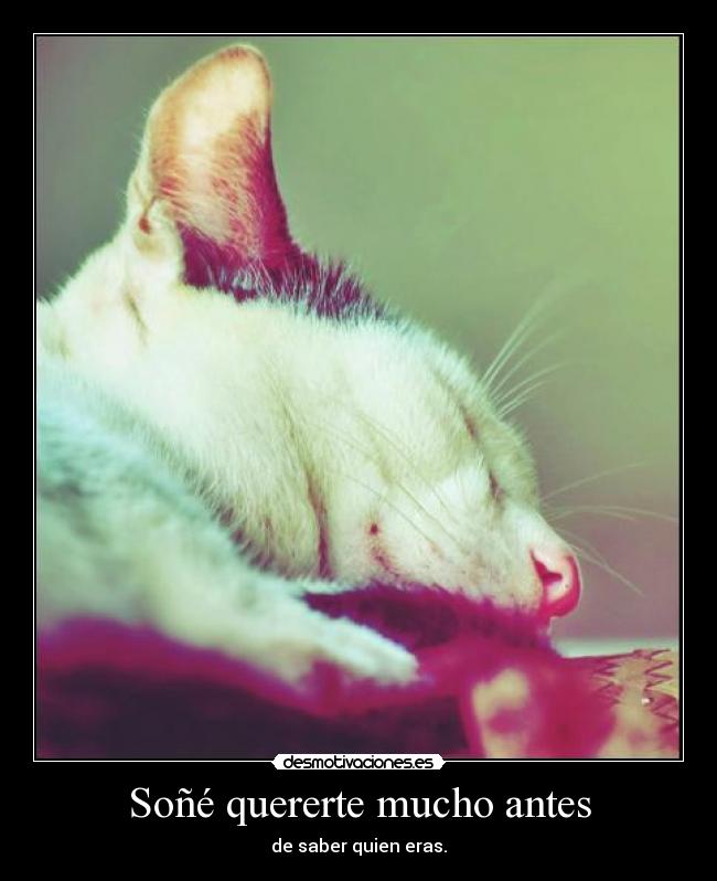 Soñé quererte mucho antes - 