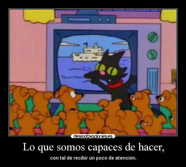 Lo que somos capaces de hacer, - con tal de recibir un poco de atención.