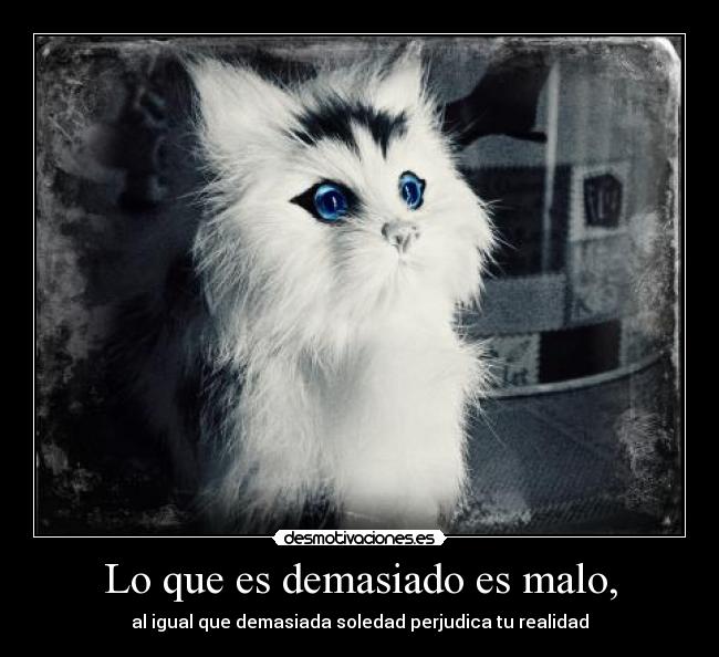 Lo que es demasiado es malo, - al igual que demasiada soledad perjudica tu realidad