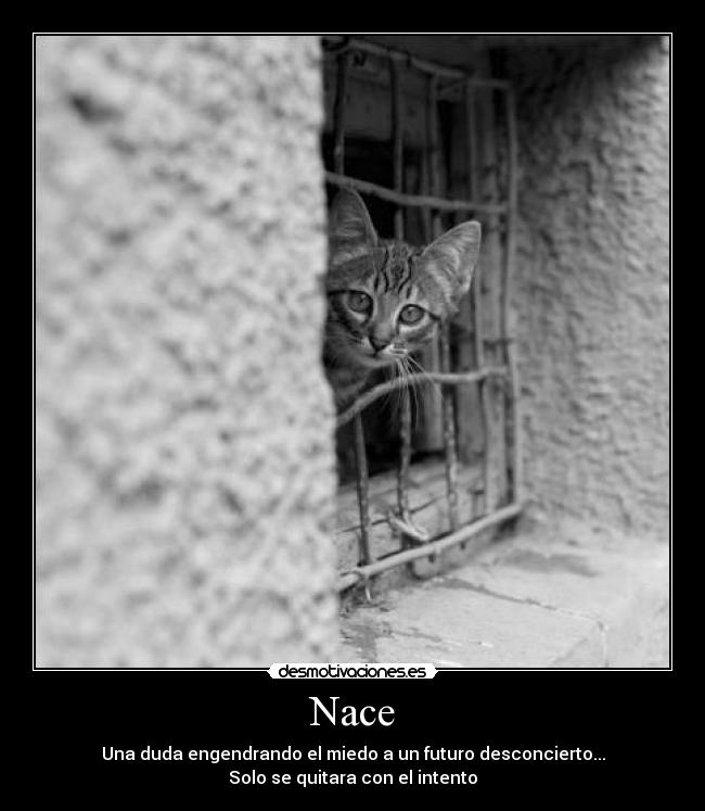 Nace -
