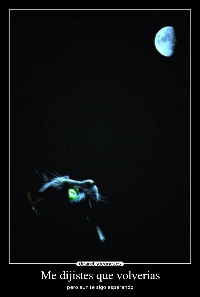 Me dijistes que volverias -