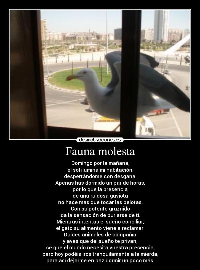 Fauna molesta -