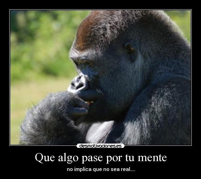 carteles mrlonely desmotivaciones