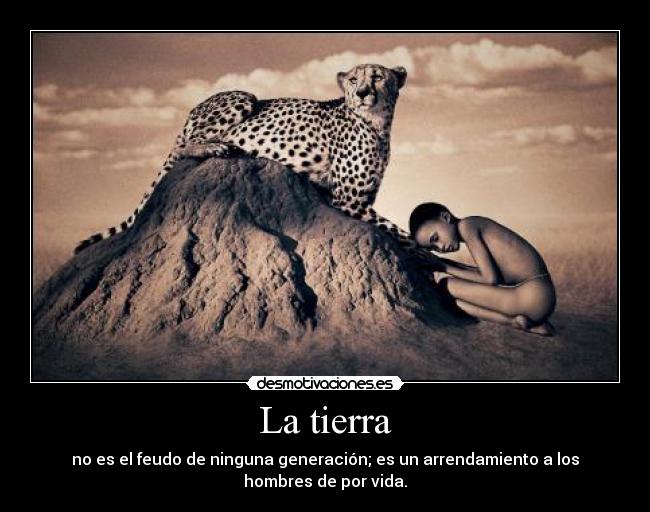 carteles lupuz desmotivaciones