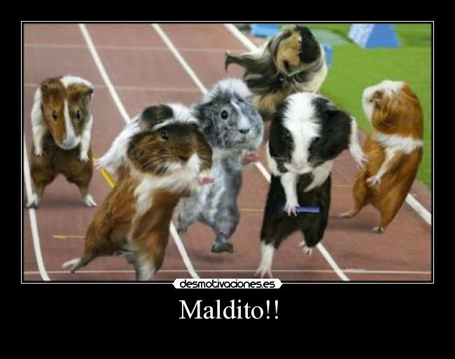 Maldito!! -