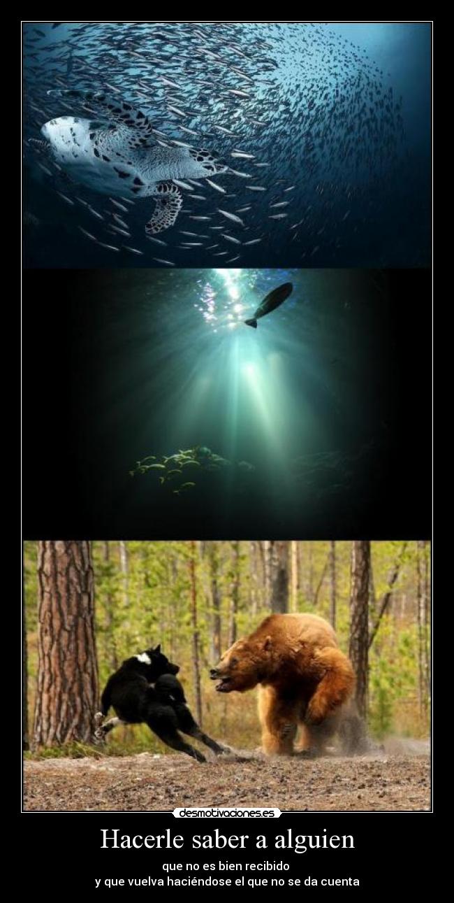 Hacerle saber a alguien -