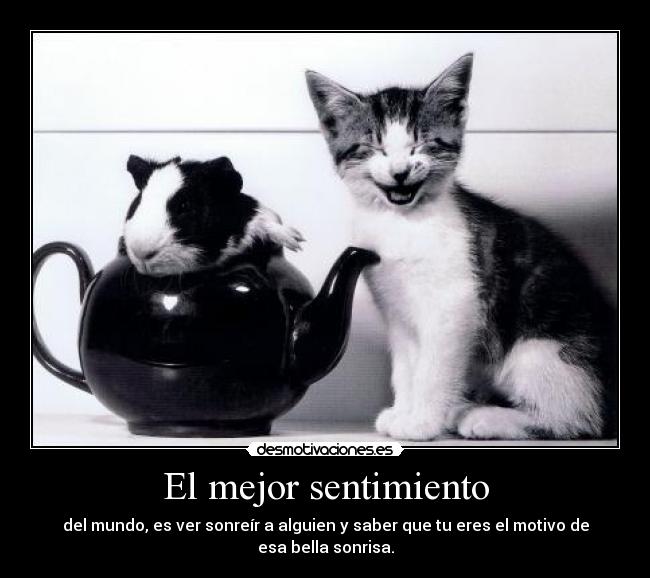 El mejor sentimiento - del mundo, es ver sonreír a alguien y saber que tu eres el motivo de esa bella sonrisa.