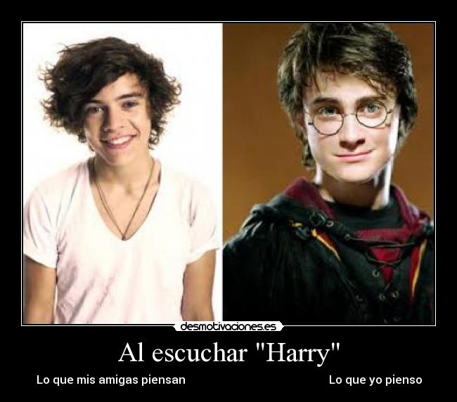 carteles harry potter harry styles desmotivaciones