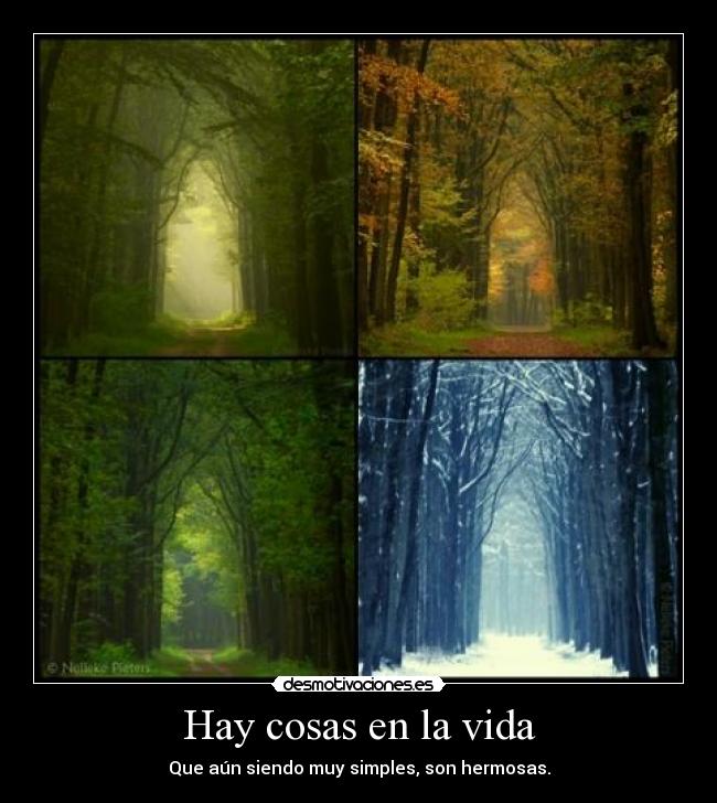 Hay cosas en la vida - 