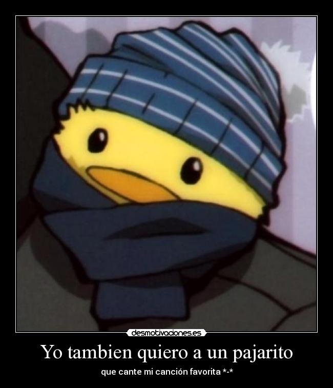 Yo tambien quiero a un pajarito - que cante mi canción favorita *-*