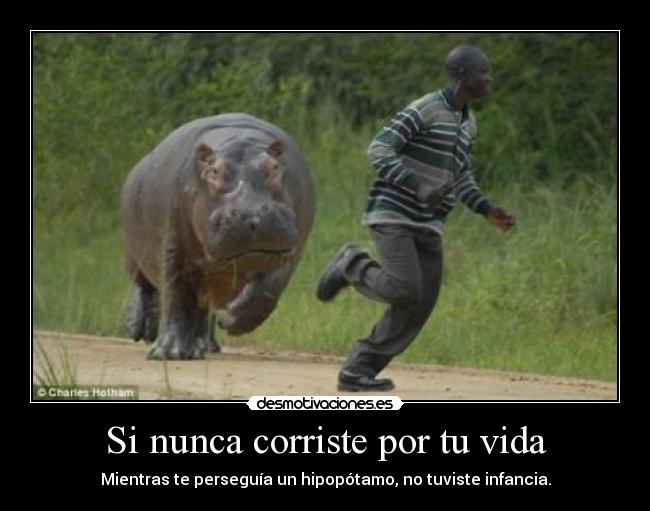 carteles vida jajajajajaj desmotivaciones