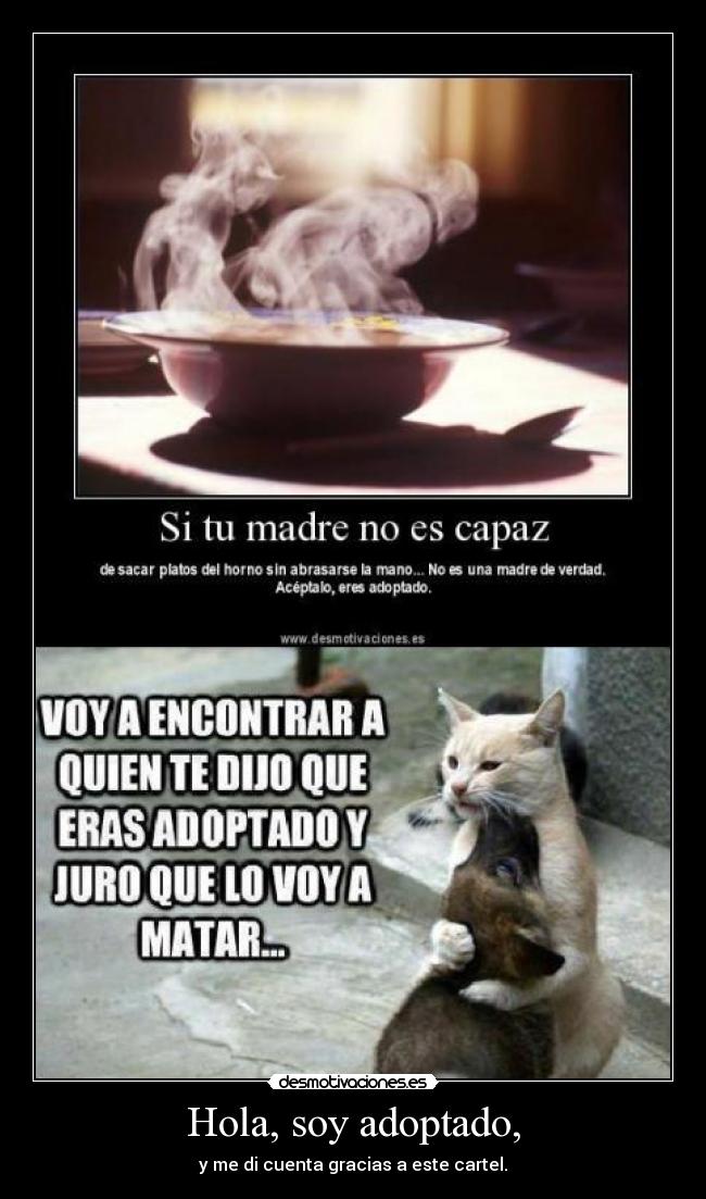 Hola, soy adoptado, - y me di cuenta gracias a este cartel.