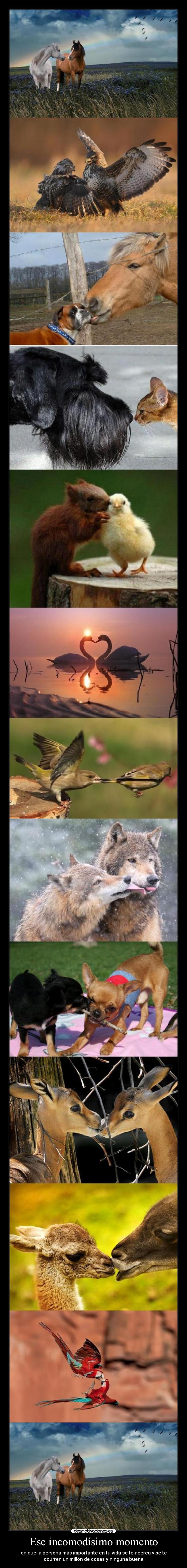 Ese incomodísimo momento - 