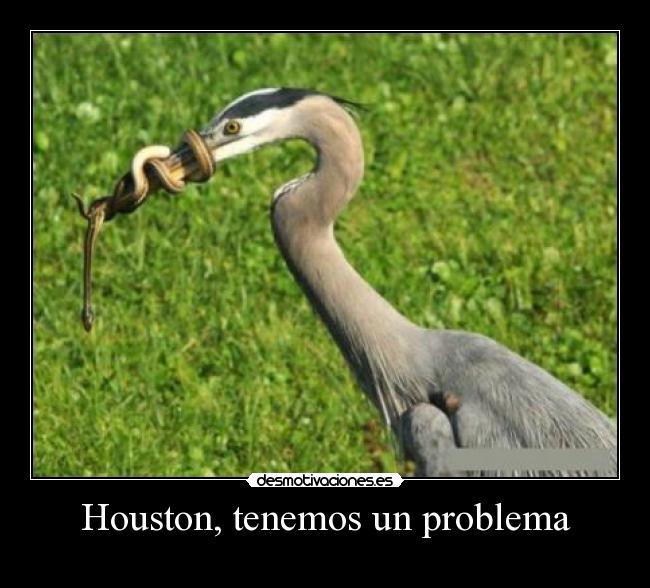 Houston, tenemos un problema -