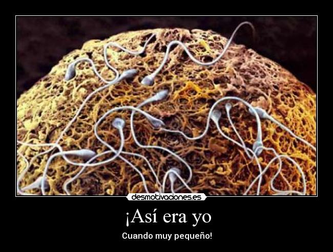 ¡Así era yo - Cuando muy pequeño!