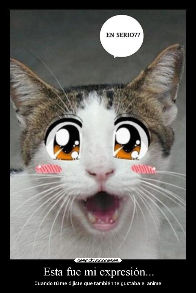 Esta fue mi expresión... -