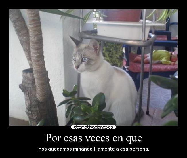 Por esas veces en que -