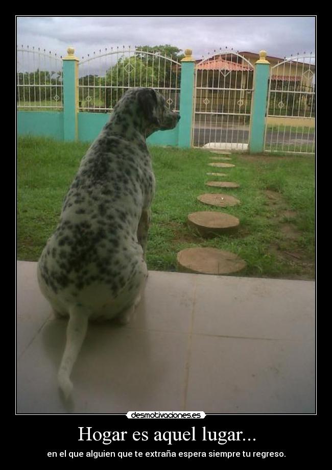 Hogar es aquel lugar... -