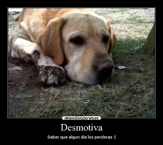 Desmotiva - 