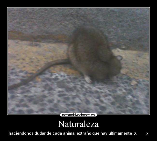 Naturaleza - haciéndonos dudar de cada animal extraño que hay últimamente X_____x