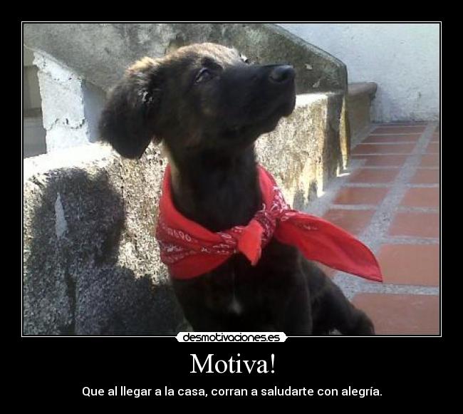 Motiva! -