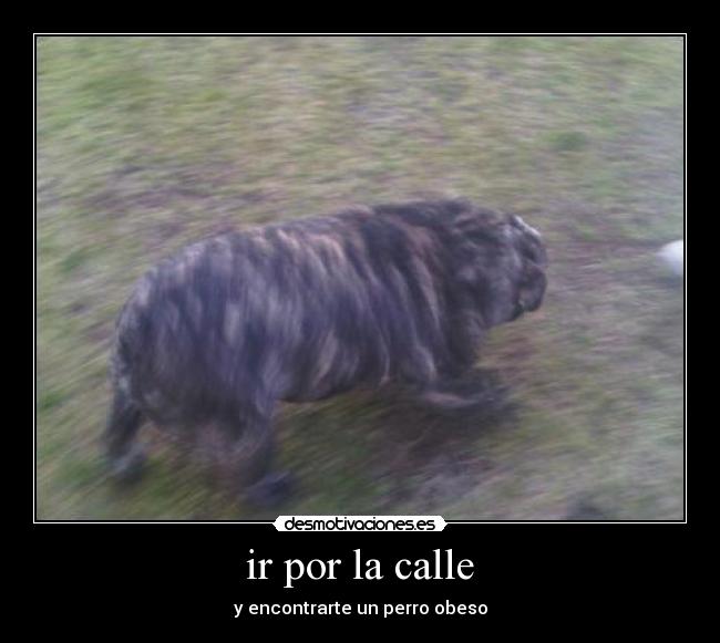 ir por la calle - 