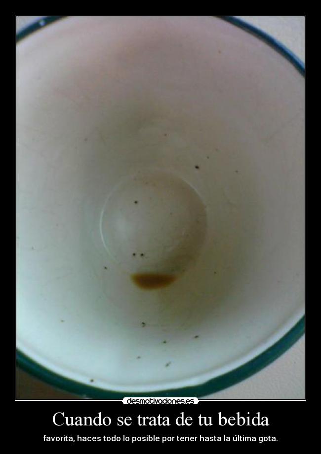 carteles bebidas hola aburro quiero cafe desmotivaciones