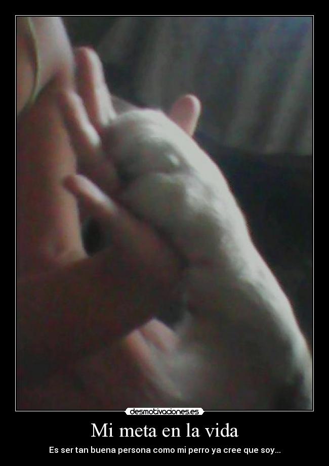 Mi meta en la vida -