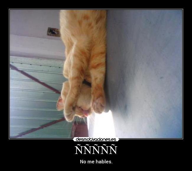 ÑÑÑÑÑ - No me hables.