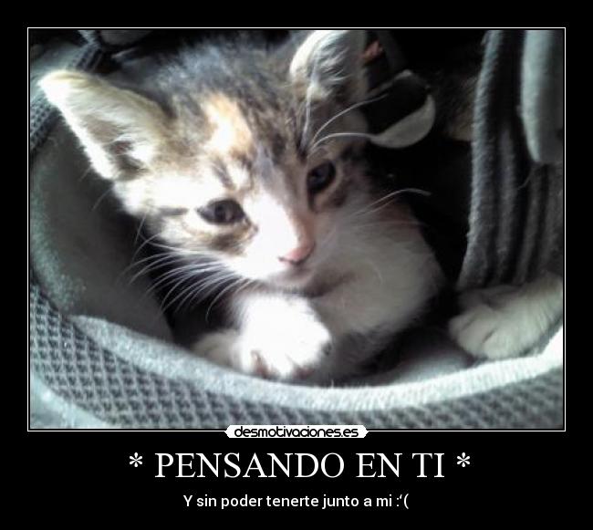 carteles ramyakmi desmotivaciones