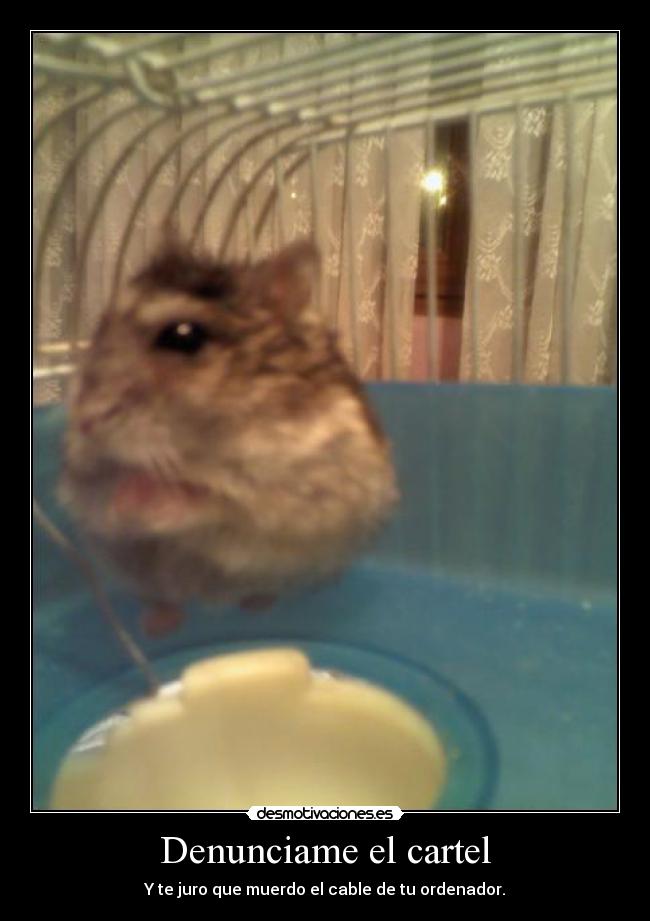 Denunciame el cartel - Y te juro que muerdo el cable de tu ordenador.