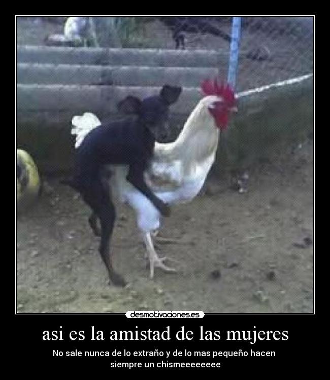 asi es la amistad de las mujeres - 