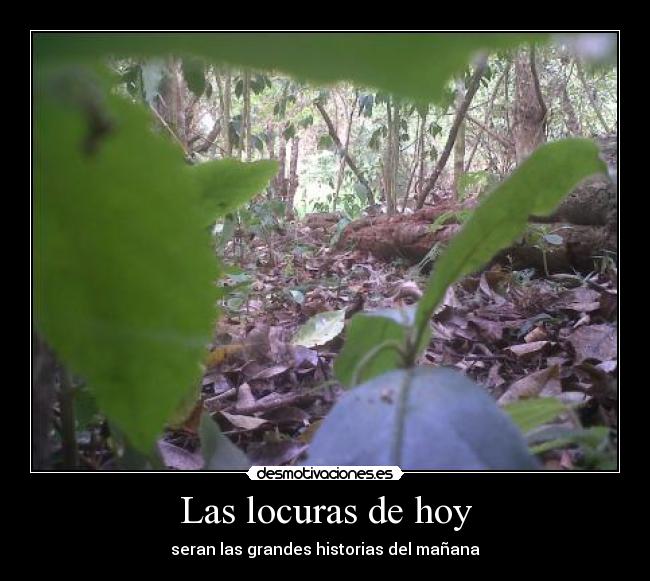 Las locuras de hoy -