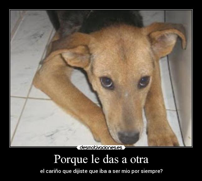 Porque le das a otra -
