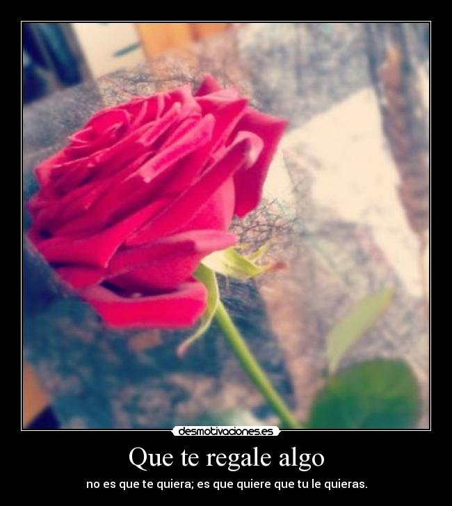 carteles regalo rosa querer amor que desmotivaciones