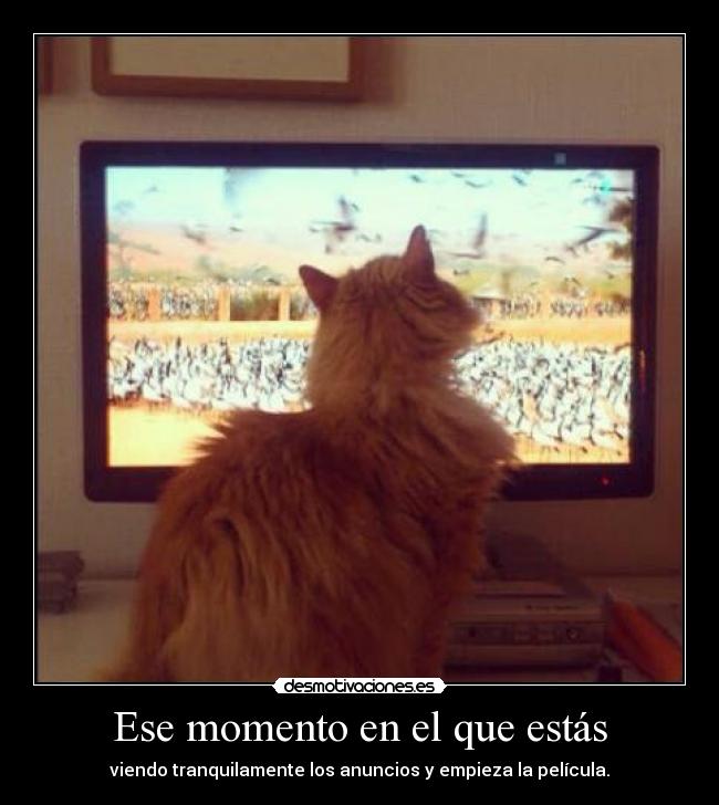 Ese momento en el que estás -