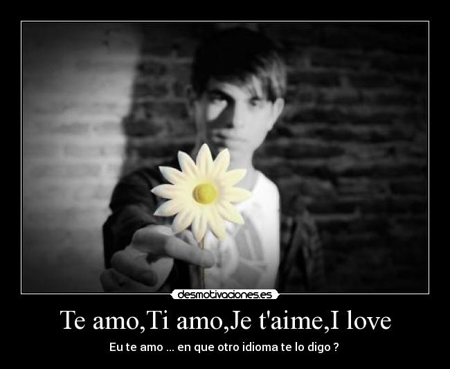 Te amo,Ti amo,Je taime,I love - 