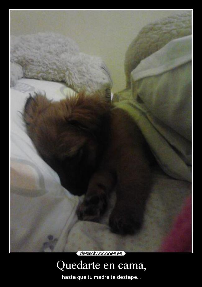 Quedarte en cama, - hasta que tu madre te destape...