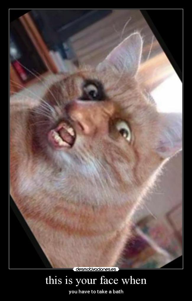 carteles natalis desmotivaciones